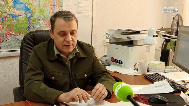 Появление диких лис в черте Братска прокомментировали охотоведы