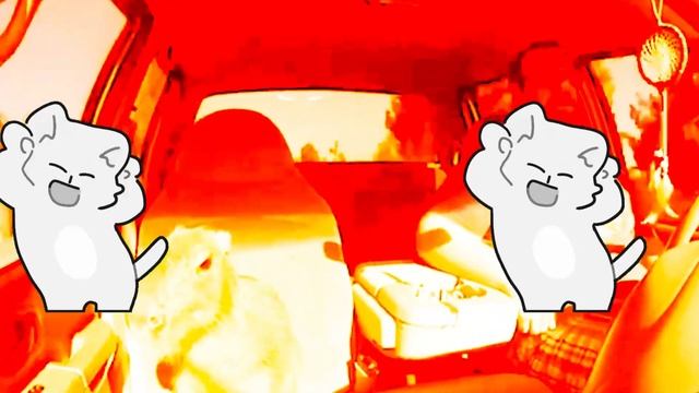 LIDA X СТИНТ - NEGORKA ОРИГИНАЛ смотреть онлайн