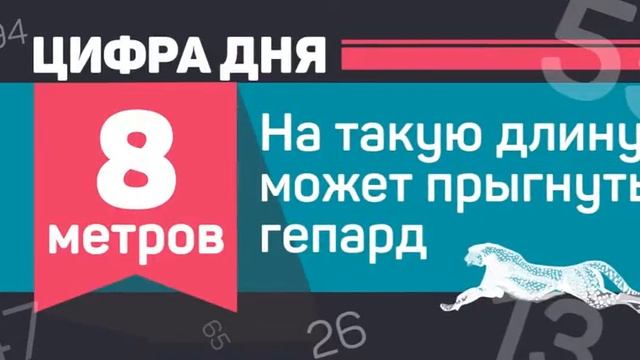 Гепард смотреть онлайн