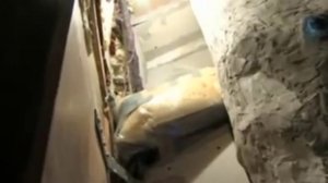 НАТАША КАМПУШ | БОЛЕЕ 8МИ ЛЕТ ЗАТОЧЕНИЯ