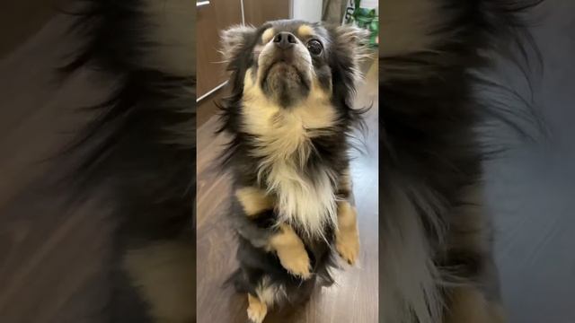 Психологический Коучинг и Развитие личности