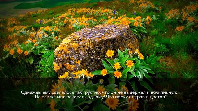Притча о камне Ценность того, что имеешь смотреть онлайн