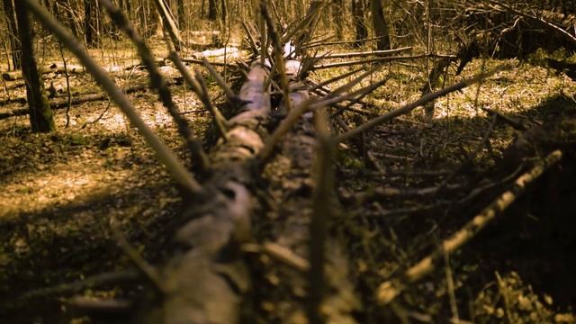 весна идет смотреть онлайн