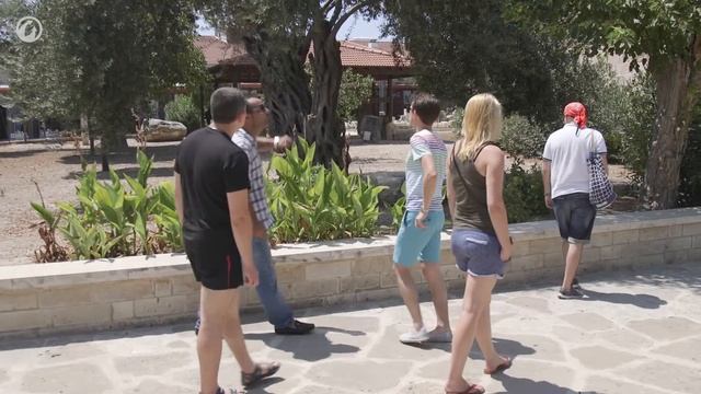 На КИПР с WGTravel смотреть онлайн