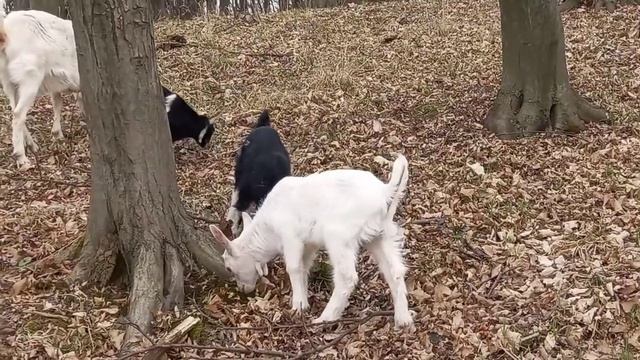 Каждый день похожий , хочется праздника смотреть онлайн