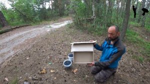 Очистка черники - лучший способ перебрать ягоды от листьев прямо в лесу