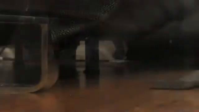 Dyson DC 26 City 2
