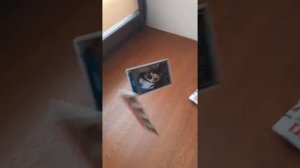 Как почти всегда побеждать в карточках драксус