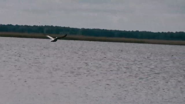 Куртан II | Рыбалка смотреть онлайн