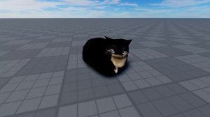 Maxwell Cat - Coffin Dance Song (COVER)