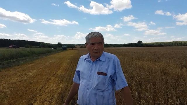 О сорте озимой пшеницы Марафон К.Б.Идиатуллов смотреть онлайн
