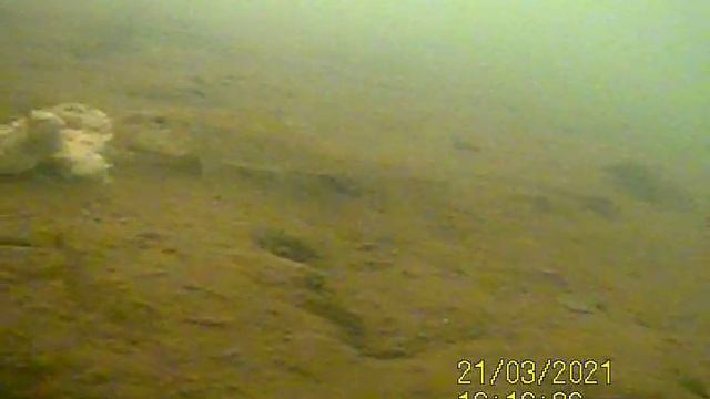 Премудрый пескарь смотреть онлайн