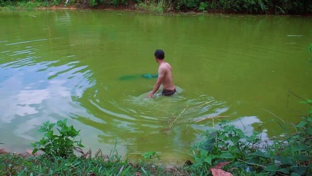 Draining water to catch big fish - preparing to build and upgrade fish ponds - daily life смотреть онлайн