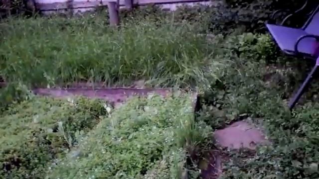 На даче писателя Харина смотреть онлайн