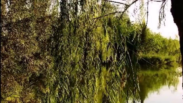 Майя Кристалинская - Ива смотреть онлайн