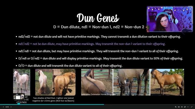 Breeding Realistic Horses in The Sims 4 ✨ Using Real Equine Genetics in TS4 Horse Ranch ? смотреть онлайн