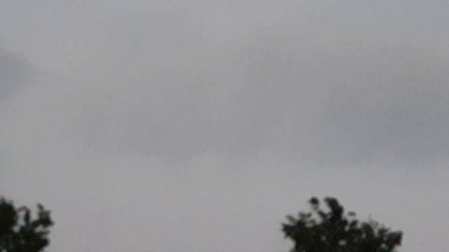 #BatFlying полет летучей мышки??? смотреть онлайн