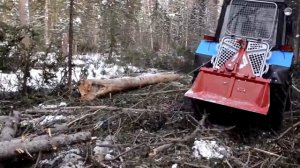 трелевка леса на мтз лебедкой ТАЙФУН
