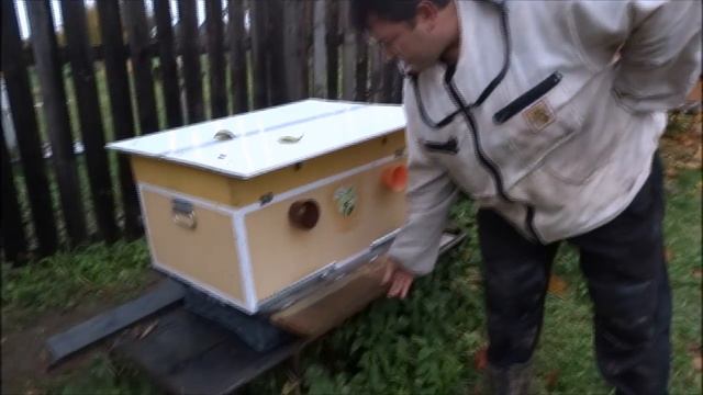 ЛЕТОК - СТАКАН. ДЕШЕВО И ОЧЕНЬ УДОБНО! смотреть онлайн