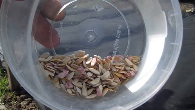 Gartenarbeit April ,heute viel zu tun,, Садоводство апрель, сегодня делаем много смотреть онлайн