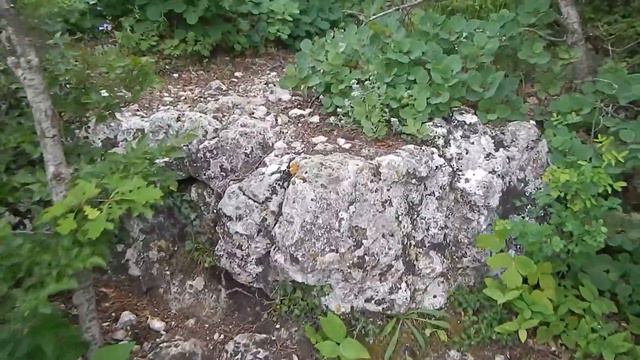 Мангуп. Сосновый храм смотреть онлайн