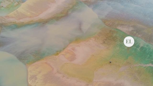 Imágenes nunca vistas de la bajante del Río Paraná y las consecuencias del fenómeno смотреть онлайн