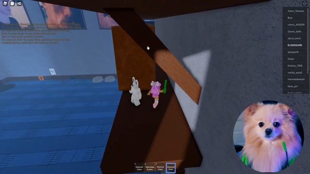 КОШКИ МЫШКИ В РОБЛОКС | ПОБЕГ ОТ ГИГАНТСКОГО КОТА В ROBLOX смотреть онлайн