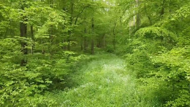 Что важно подарить на Пасху? И что строго запрещено? смотреть онлайн