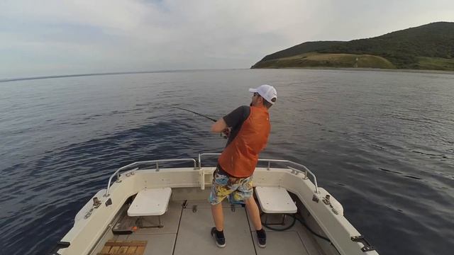 Зоологический Справочник