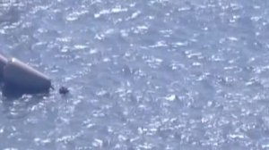 Срочно! Видео из затонувшего корейского судна "Севоль"