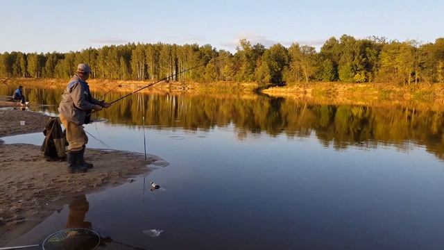 отдых на р.Ветлуга рыбалка на фидеры смотреть онлайн