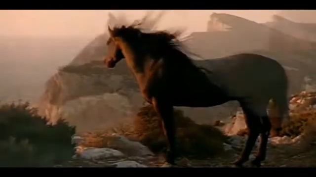 Андрей В.  Евсеев.  Ретроспектива клипов (2020-2021)