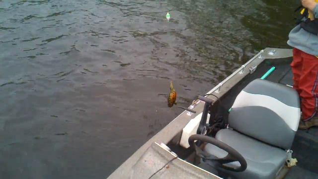 Move over Bill Dance, Tank Sims can catch it All смотреть онлайн