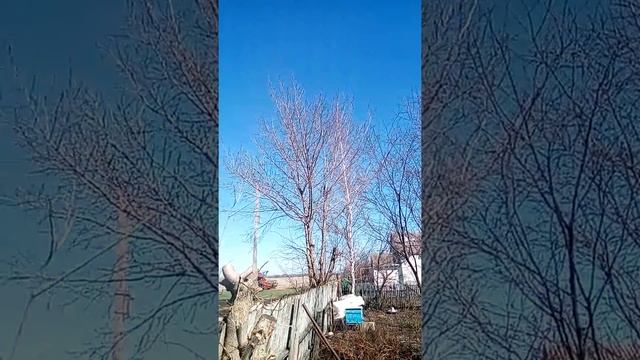 Хорошая погода,стрекотание стрекоз,чистое небо смотреть онлайн