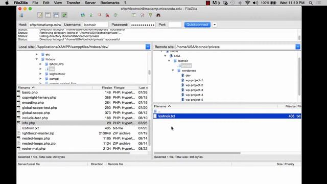 Transferring Files to Matlamp with FileZilla смотреть онлайн