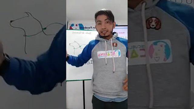 Cómo corregir a nuestro perro adecuadamente. смотреть онлайн