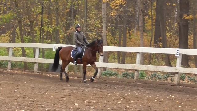 Серпантин 3 и 4 петли. Выездка. Как ехать? смотреть онлайн