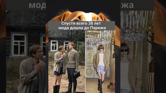Не собака , а кот Баскервилей #мем Смешные картинки /  #приколы с озвучкой ?
