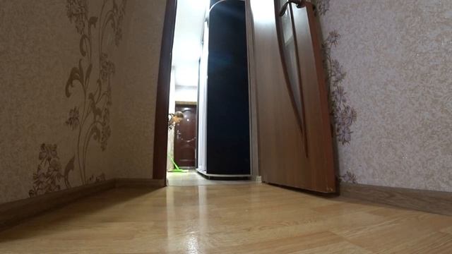 Быстрая уборка в квартире перед Новым Годом! ??Навожу порядок с удовольствием!?? смотреть онлайн