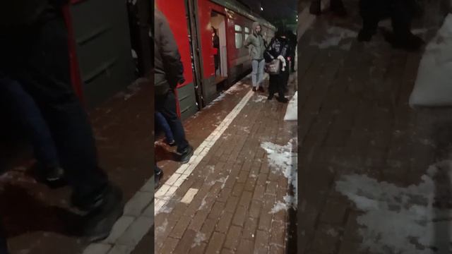 электричка на станции Фрязево сообщение Москва Курский вокзал Петушки смотреть онлайн