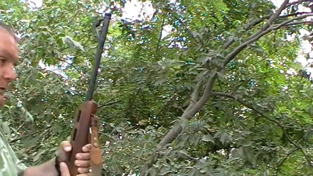 Тест банки 223 калибр