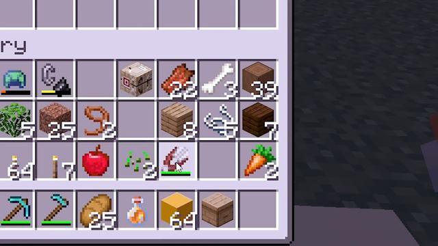SONO STATO PUNTO DALLE API in MINECRAFT?! | Gabby Vanilla смотреть онлайн