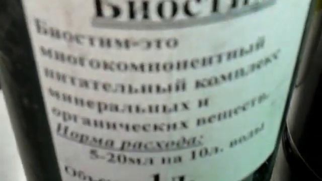 Хризантема Выращивание Химикаты применяемые при выращивании хризантемы смотреть онлайн