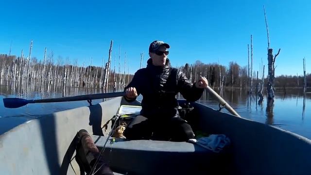 Ловля щуки на крупные воблеры и силикон весной. База Сендега. 26 апреля 2019. смотреть онлайн