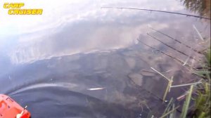 Ловля толстолоба при помощи кораблика Сarp Сruiser boat 2019г