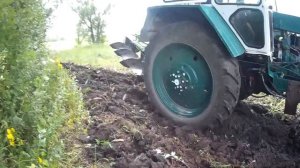 Пахота! ЮМЗ-6 поднимает целину!