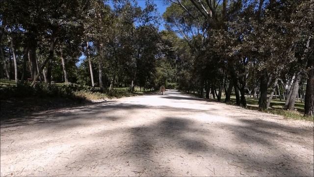 Panasonic LUMIX DC-FZ82, Slow Motion Test смотреть онлайн
