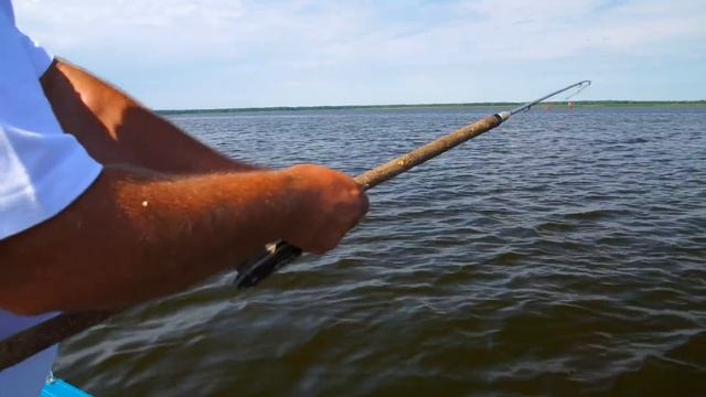 Ловля леща, густеры, подлящиков с лодки на Донку [ШоУолда №60] смотреть онлайн