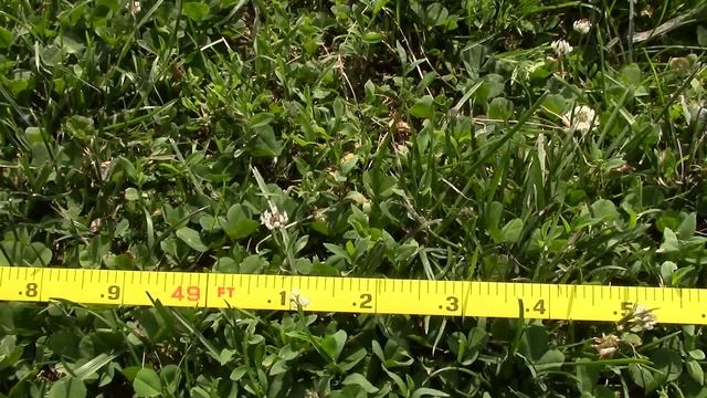 Nerf Rebelle Agent Bow - Range Test (Stock) смотреть онлайн