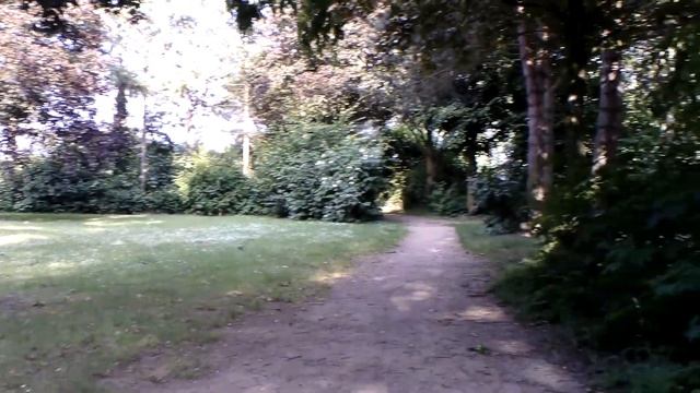 Aabeloy Camcorder HDV-534KM - Mit externem Mikrofon смотреть онлайн